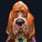 Cain-